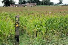 ACW Challenge : 2-Sep-2007 : 950 metres west of Astley Lane; end of Map 15