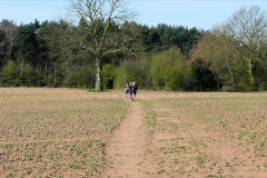 ACW Challenge : 5-Apr-2009 :  Kenilworth Golf Course to A46 stretch of ACW (When we installed the k/g just before this field, the path was a rough ploughed field, with the reinstated path DEEP water-filled ruts where the heavy tractor