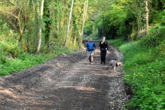 08:04 : Where the long sloping path from Burton Green joins the Greenway