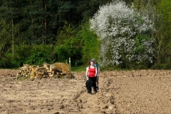 10:13 : Just east of Kenilworth Golf Course, with the felled Oak