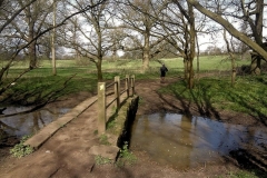 nearly to Stareton - Packhorse Bridge over stream