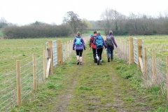 12:12 : Crowds going along the Diversion - But I was always behind them!