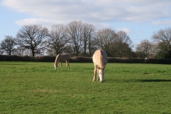 Between Harvest Hill Lane and Meriden Shafts