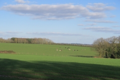 Approaching Harvest Hill Lane