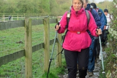 Approaching Benton Green Lane, Reeves Green