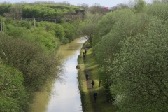 Oxford Canal towpath from Nettle Hill bridge